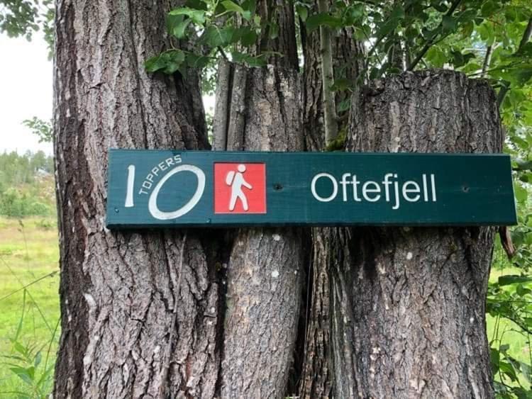 Sjarmerende Overnatting Sentralt I Vest-Telemark Hoydalsmo Екстериор снимка